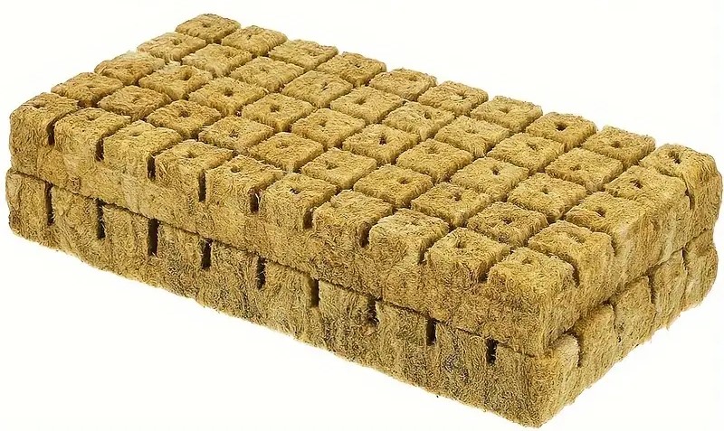 Rockwool cubes