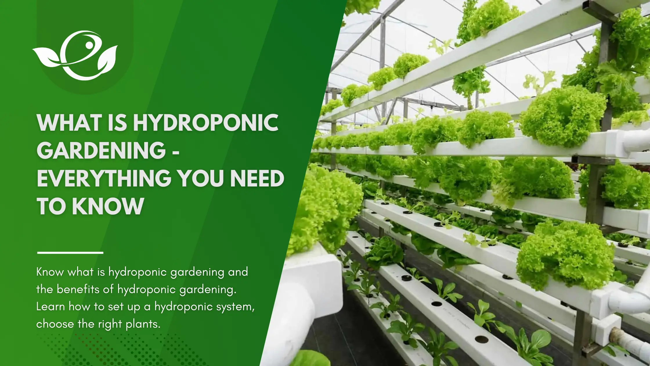 Hydroponic gardening