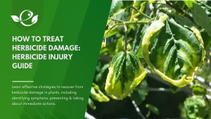 herbicide damage