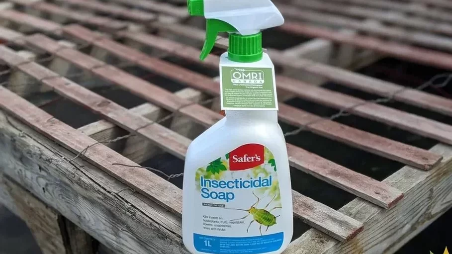 Insecticidal soap