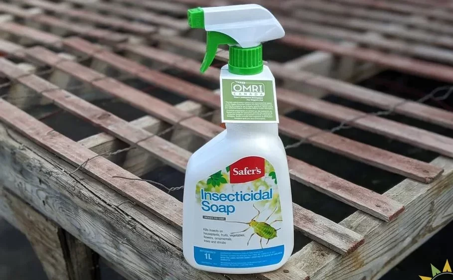 Insecticidal soap