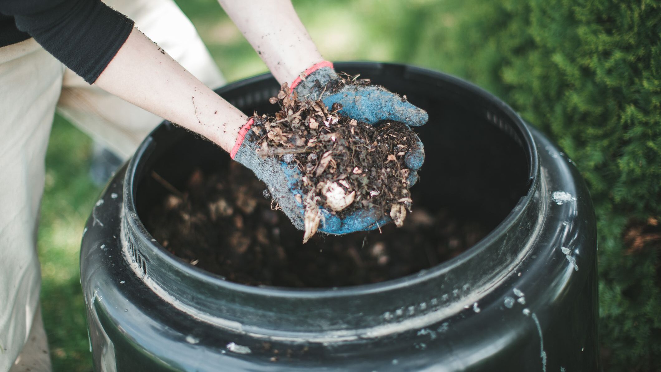 compost tea