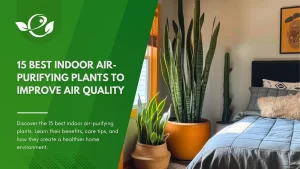 Best Indoor Air-Purifying Plants