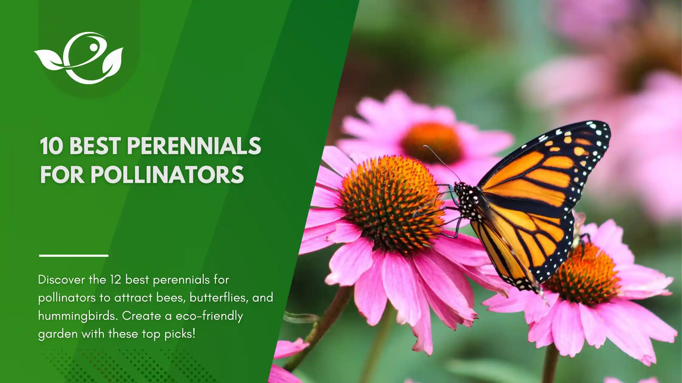 Best perennials for pollinators