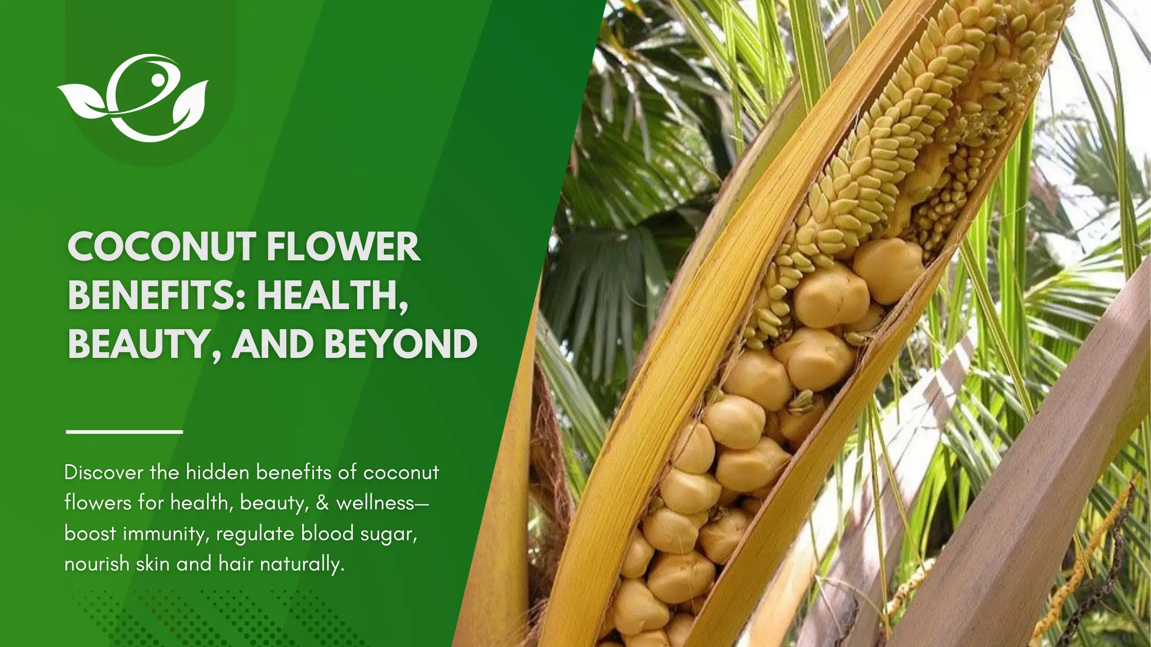 Coconut Flower Benefits