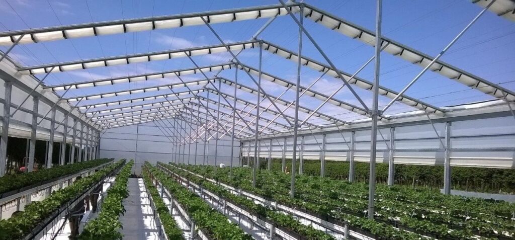 Cravos Retractable Roof Greenhouse