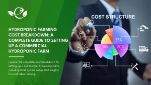 Hydroponic Farming Cost Breakdown