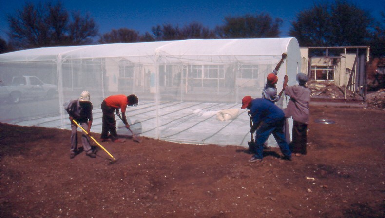 hydroponic farming
