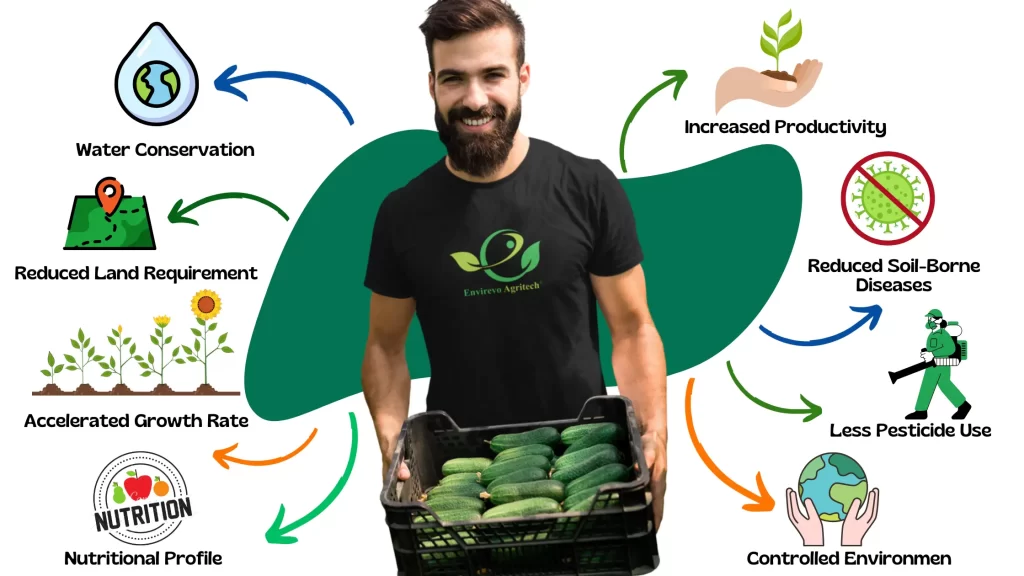 Benefits of Hydroponic Cucumbers