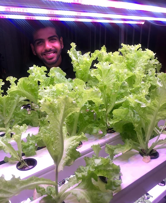 Hydroponic Farming in Kolkata