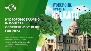 Hydroponic Farming in Kolkata