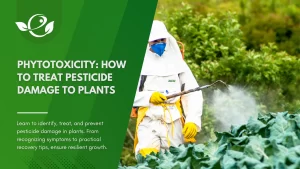 Pesticide damage to plants