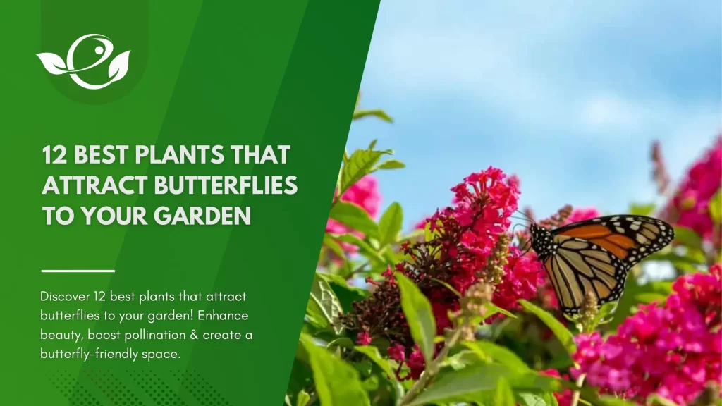 12 Best Plants That Attract Butterflies To Your Garden