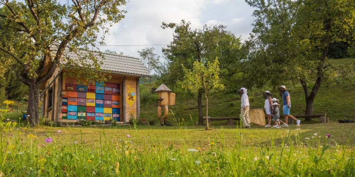 Slovenian Bee Farm