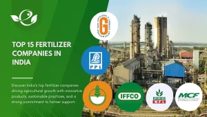 Top Fertilizer Companies