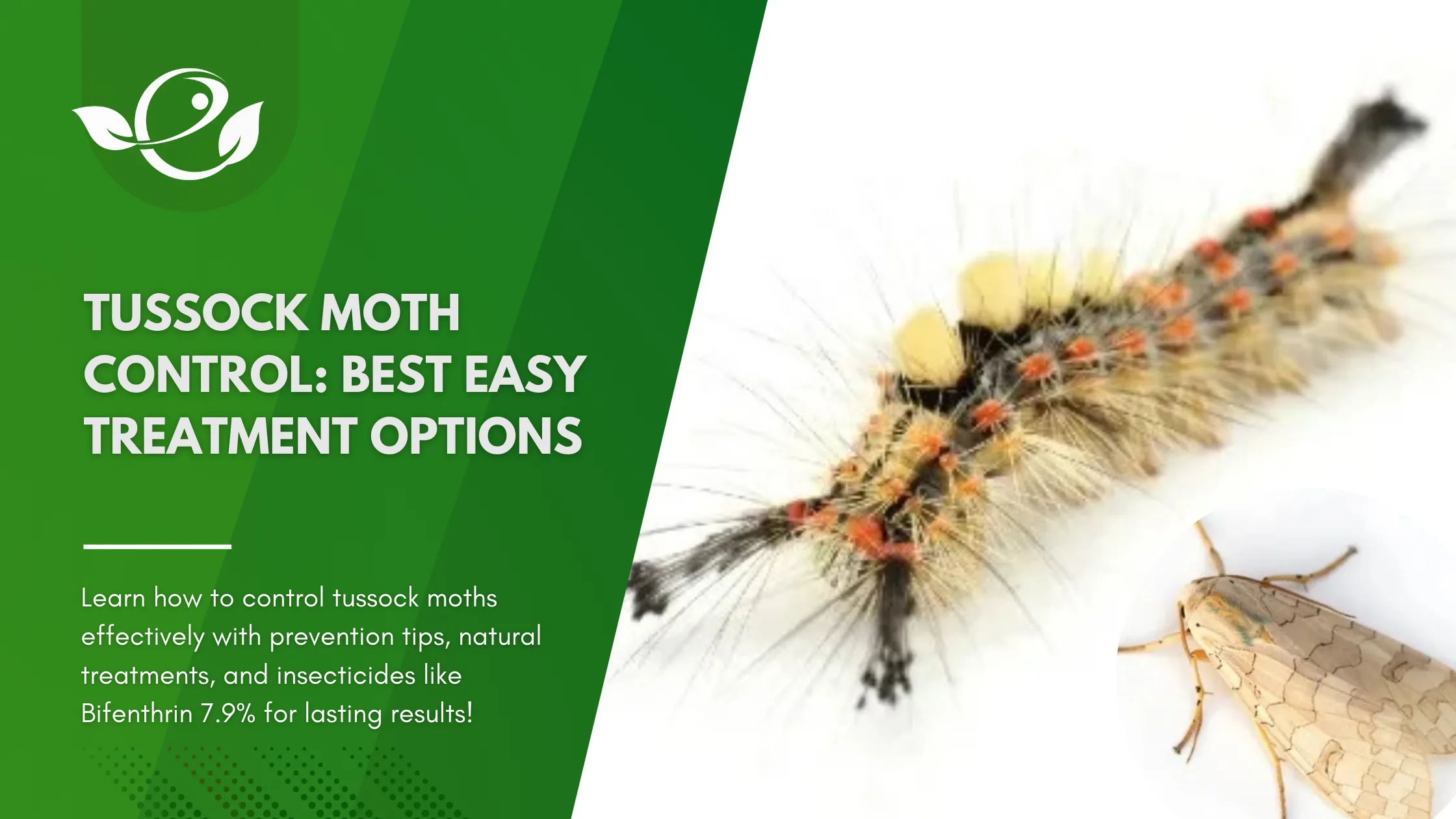 Tussock Moth Control