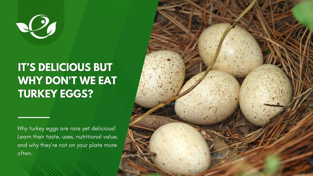 It s delicious but why don t we eat turkey eggs 