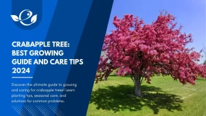 crabapple-tree-growing-guide