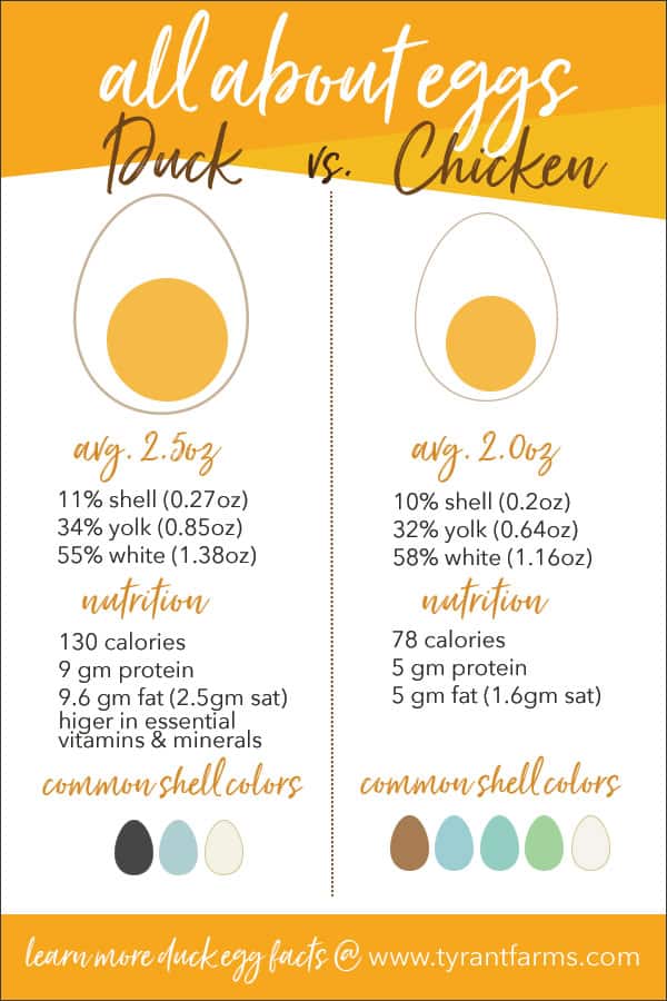 nutritional value of duck eggs

