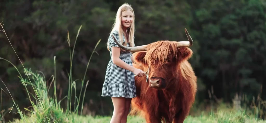 Benefits of Raising Highland Cattle