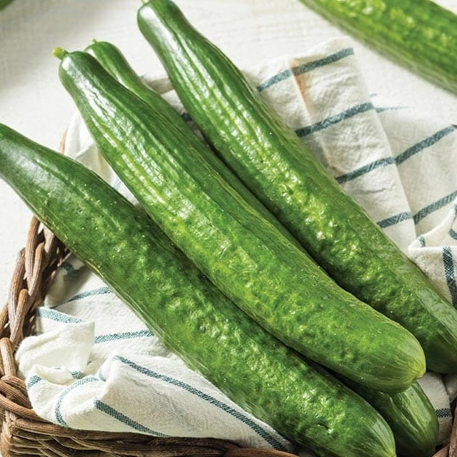 Japanese Cucumber