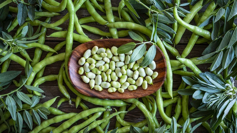 Peas and Fava Beans