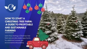 how to start a christmas tree farm