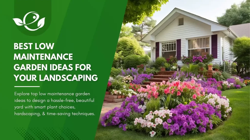 Best Low Maintenance Garden Ideas For Your Landscaping