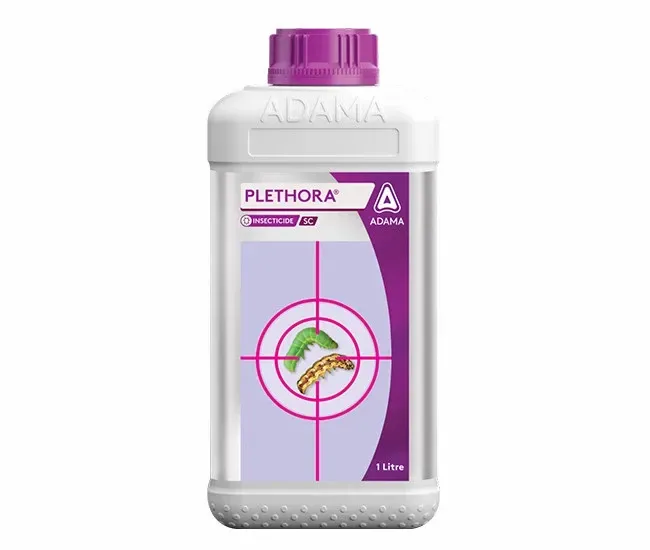 Plethora by Adama