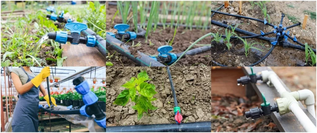 drip irrigation