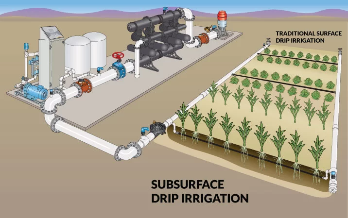 drip irrigation