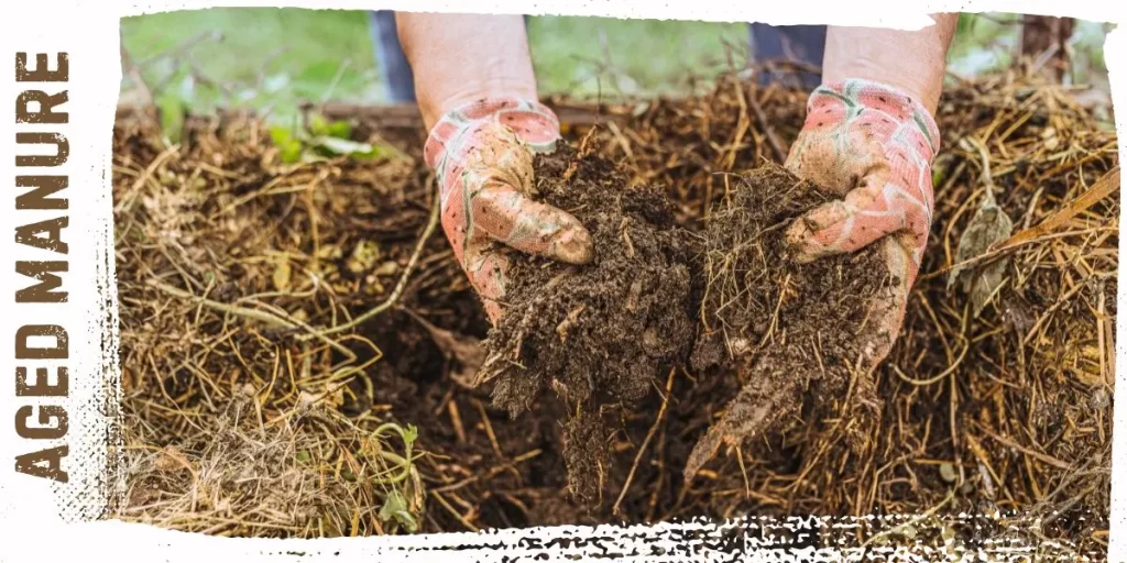  Easy Ways to Boost Soil Nitrogen