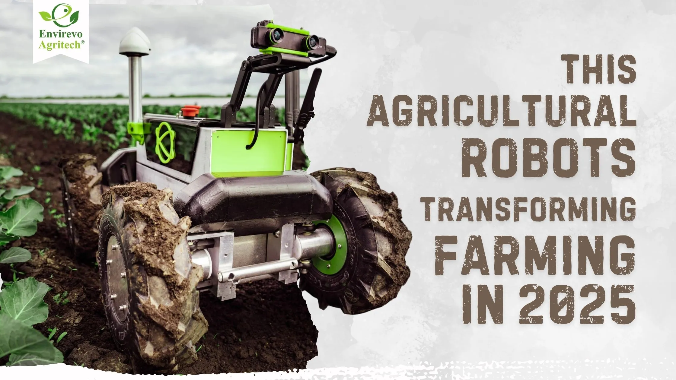 Agricultural Robots Transforming Farming in 2025