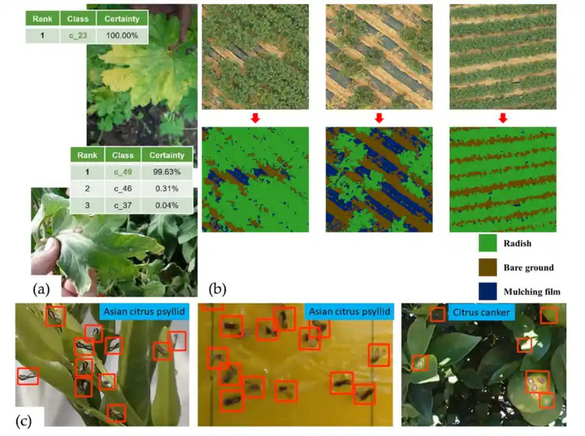 Detecting Pests and Stress by drone