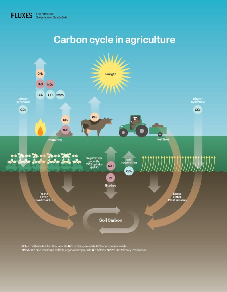 carbon cycle in agriculture
