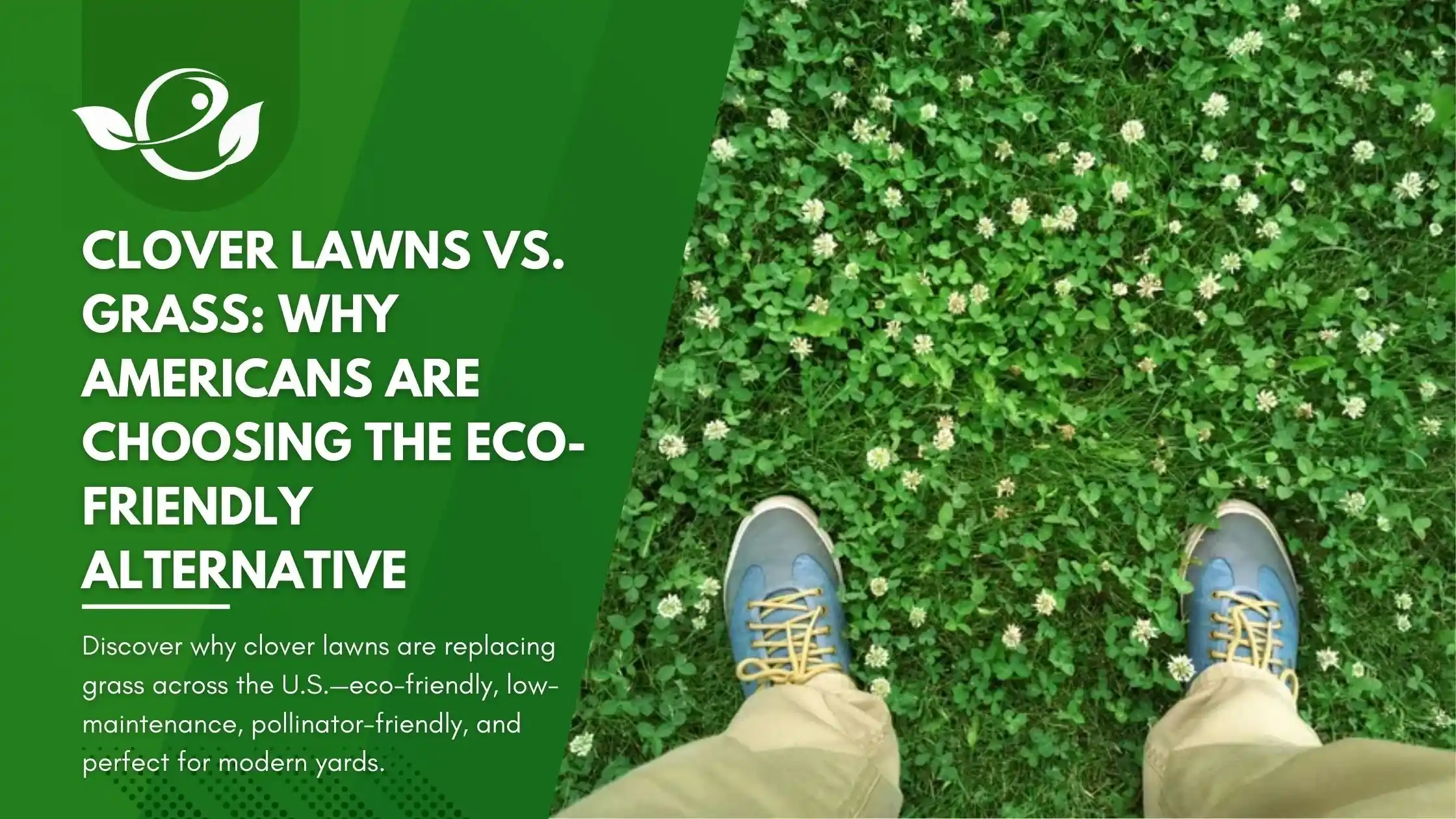 Clover Lawns vs Grass