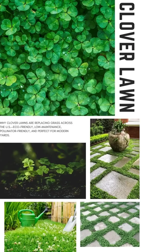 Clover Lawns vs. Grass