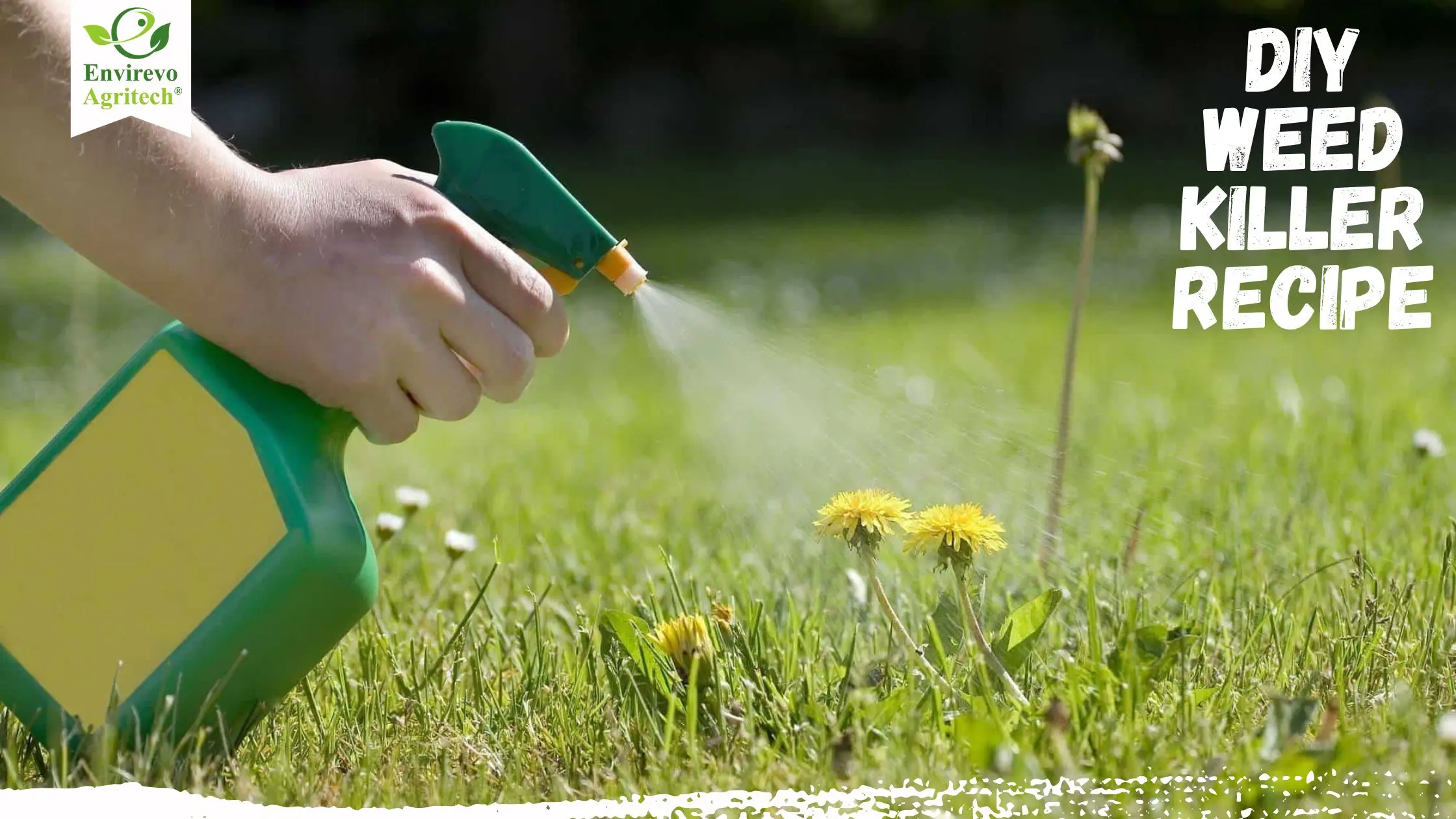 DIY Vinegar Weed Killer Natural, Non-Toxic, and Effective