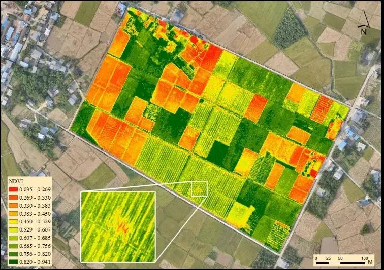 Drones for Crop Scouting