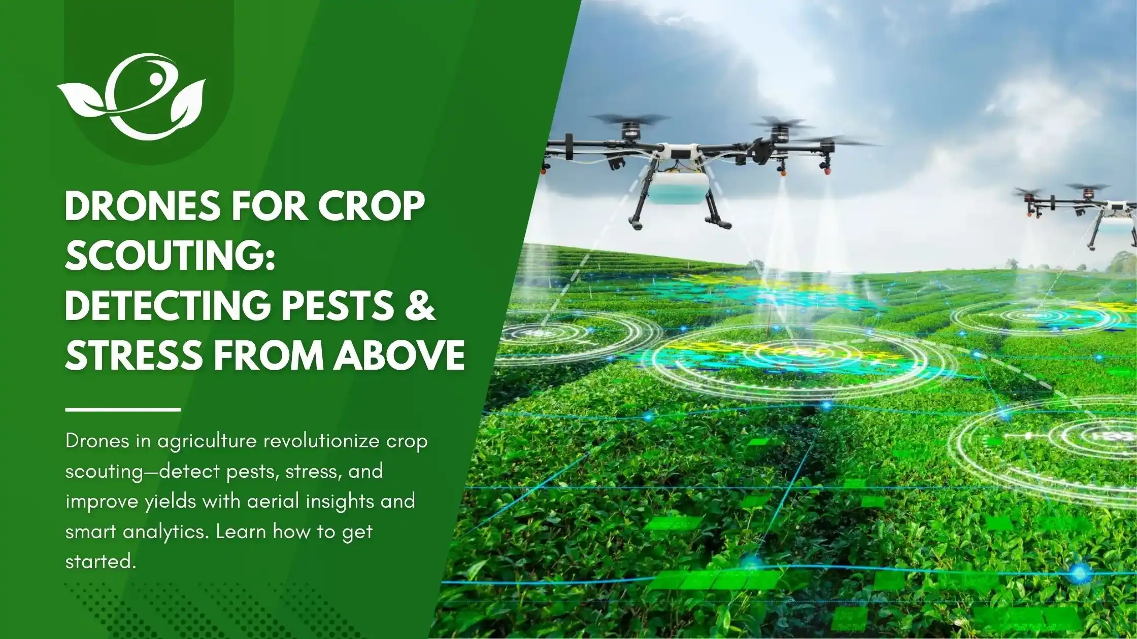 Drones for Crop Scouting