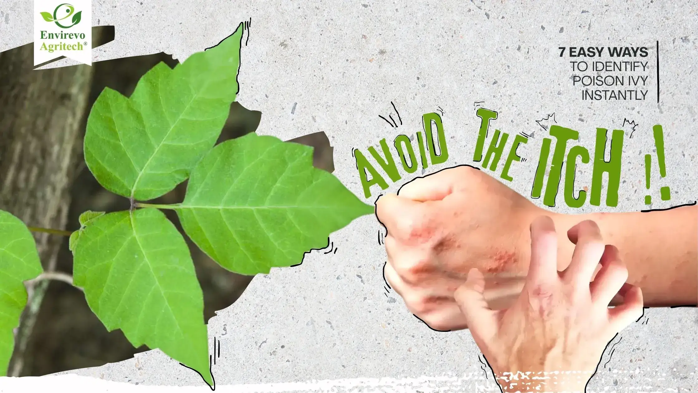 Easy Ways to Identify Poison Ivy Instantly