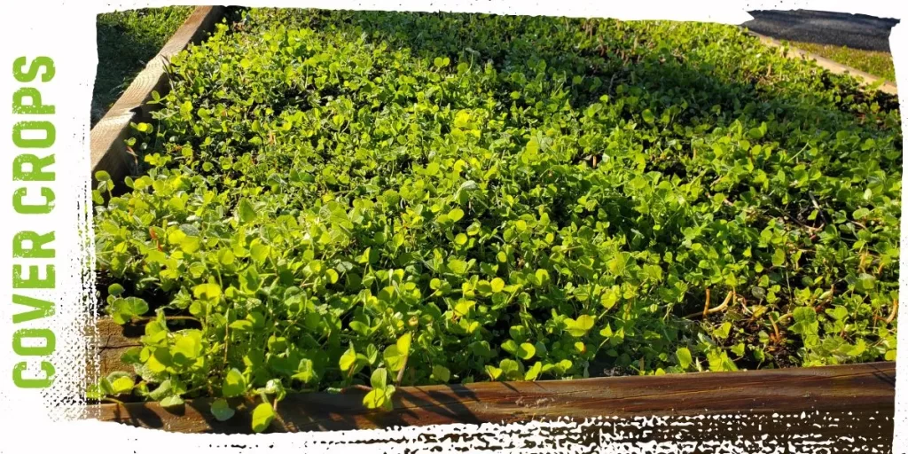 ways to add nitrogen to soil