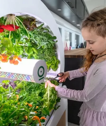 Smart Gardening