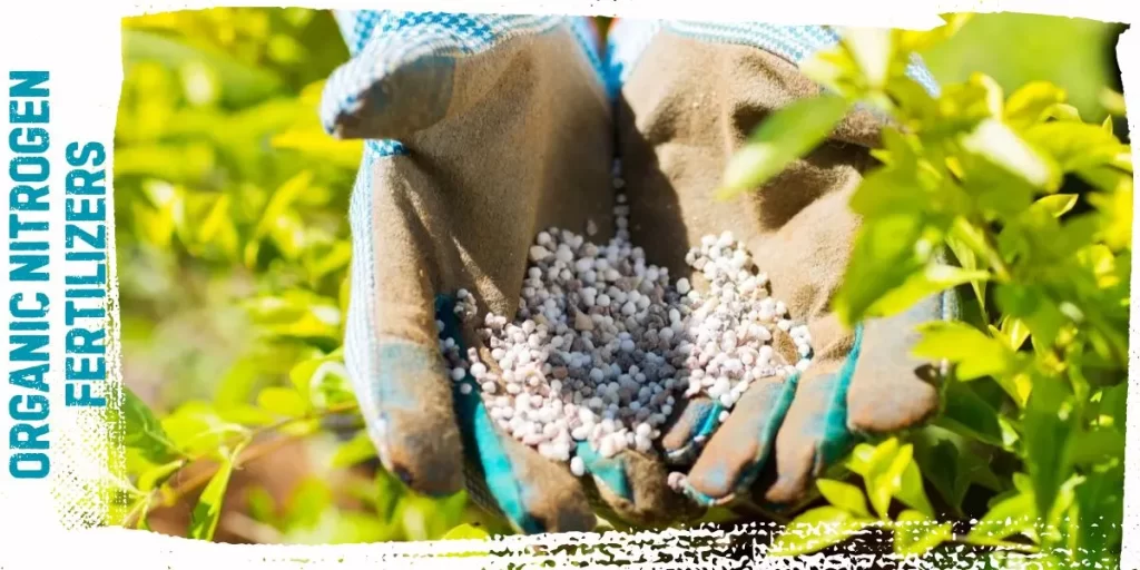 Organic Nitrogen Fertilizers