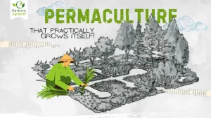 Permaculture 101 guide