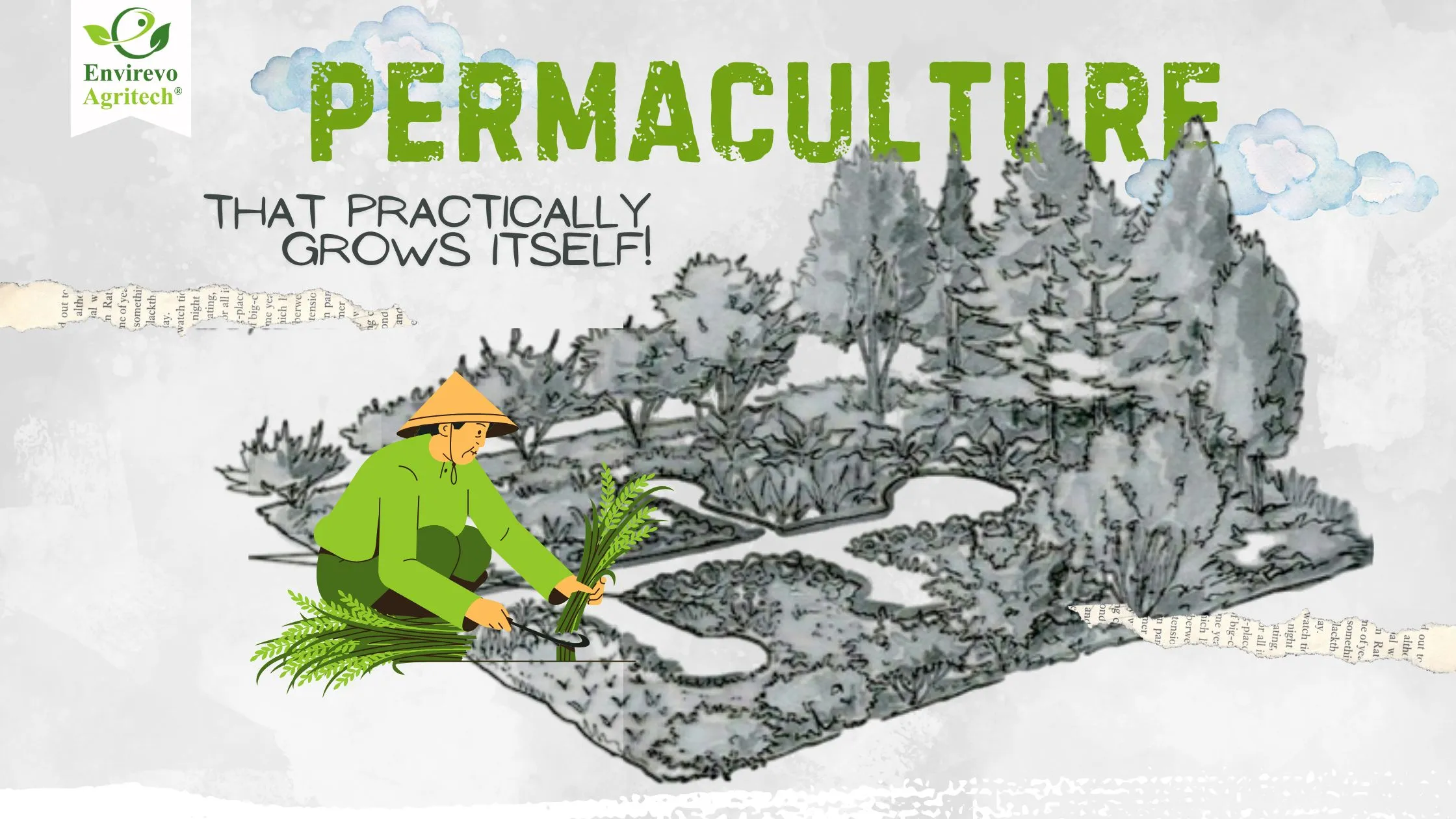 Permaculture 101 guide