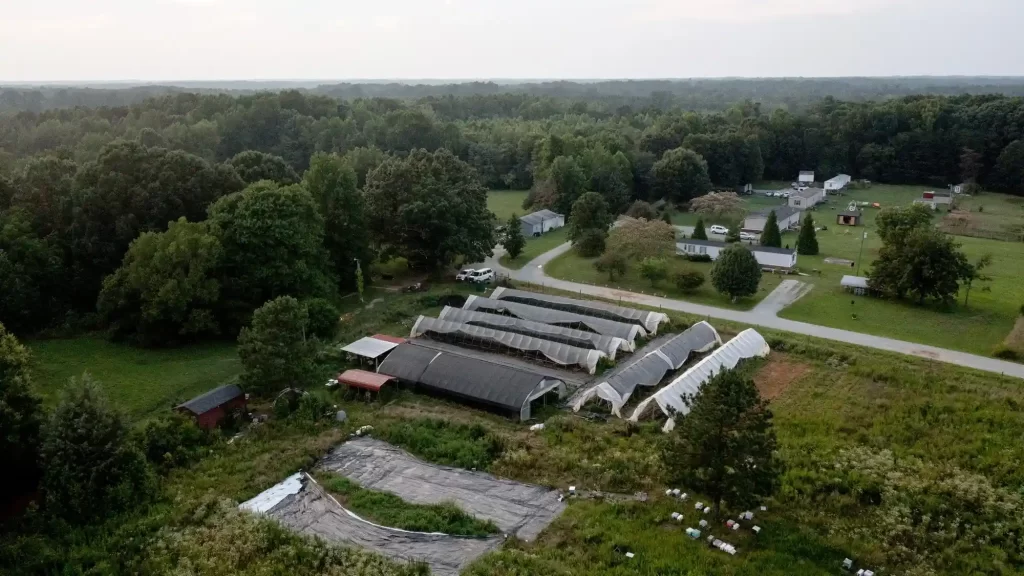 Sankofa Farms, USA