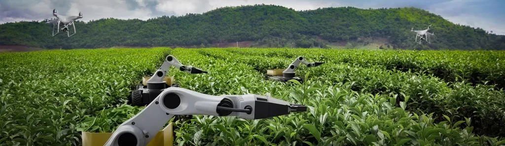 Swarm Robotics