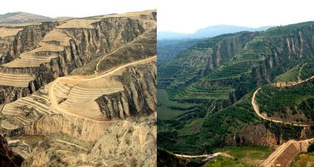 The Loess Plateau Restoration China