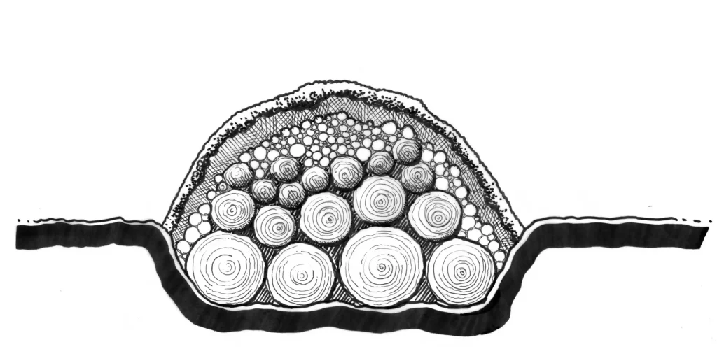 Types of Hugelkultur